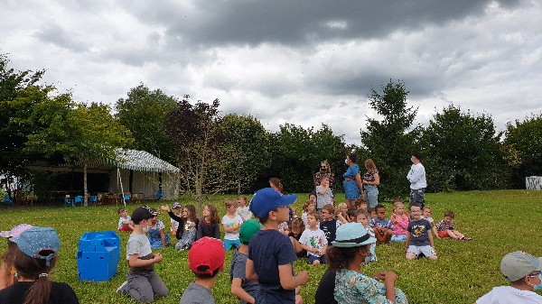  Tous les enfants assistent à l'envol des oiseaux : des faucons crécerelles.