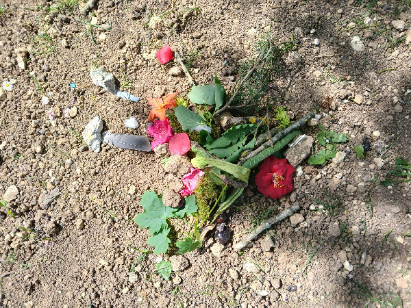 land art Vacances d'avril 2026