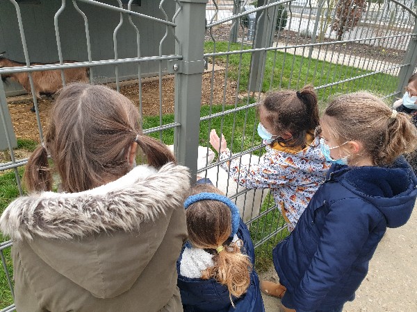 Sortie au petit parc de Fondettes